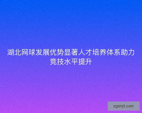 湖北网球发展优势显著人才培养体系助力竞技水平提升
