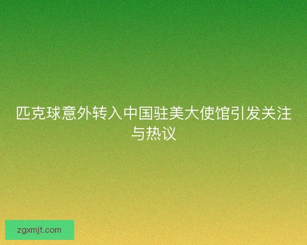 匹克球意外转入中国驻美大使馆引发关注与热议