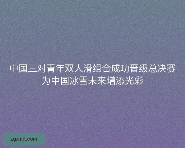 中国三对青年双人滑组合成功晋级总决赛为中国冰雪未来增添光彩